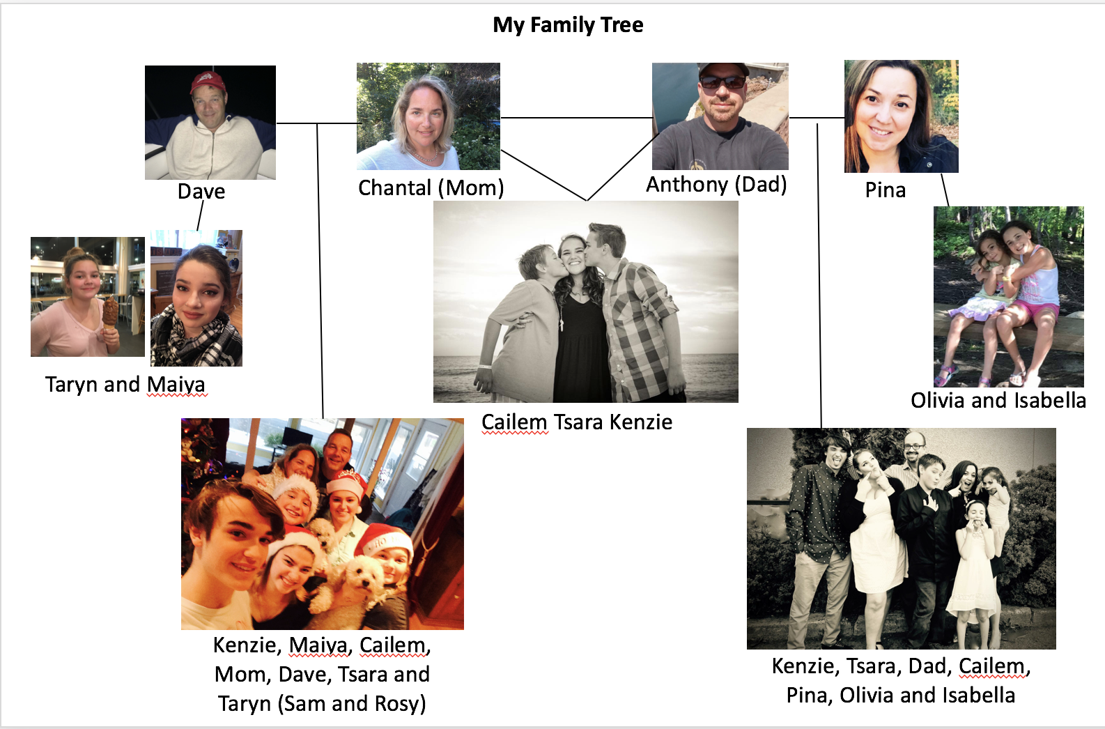 This is an image of my family tree